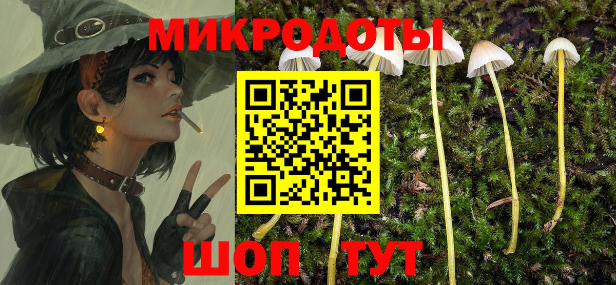 Псилоцибиновые грибы Psilocybe Рубцовск